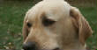 PICT0050o.jpg