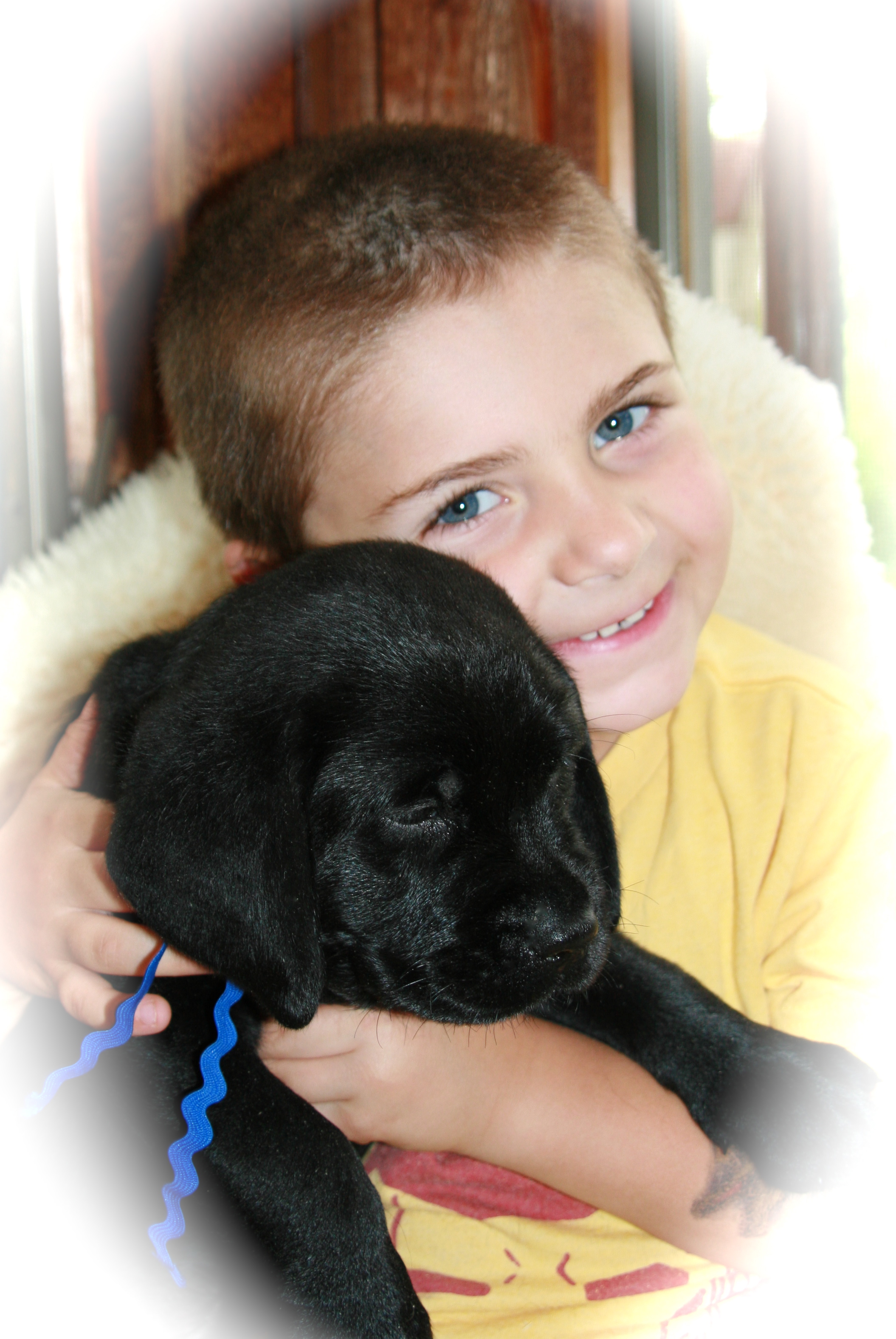 picturegallery15468.tmp/7weekdarkblueboy.JPG
