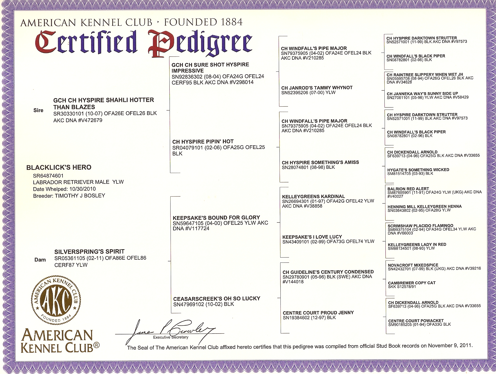 picturegallery15468.tmp/HEROPEDIGREE.jpg