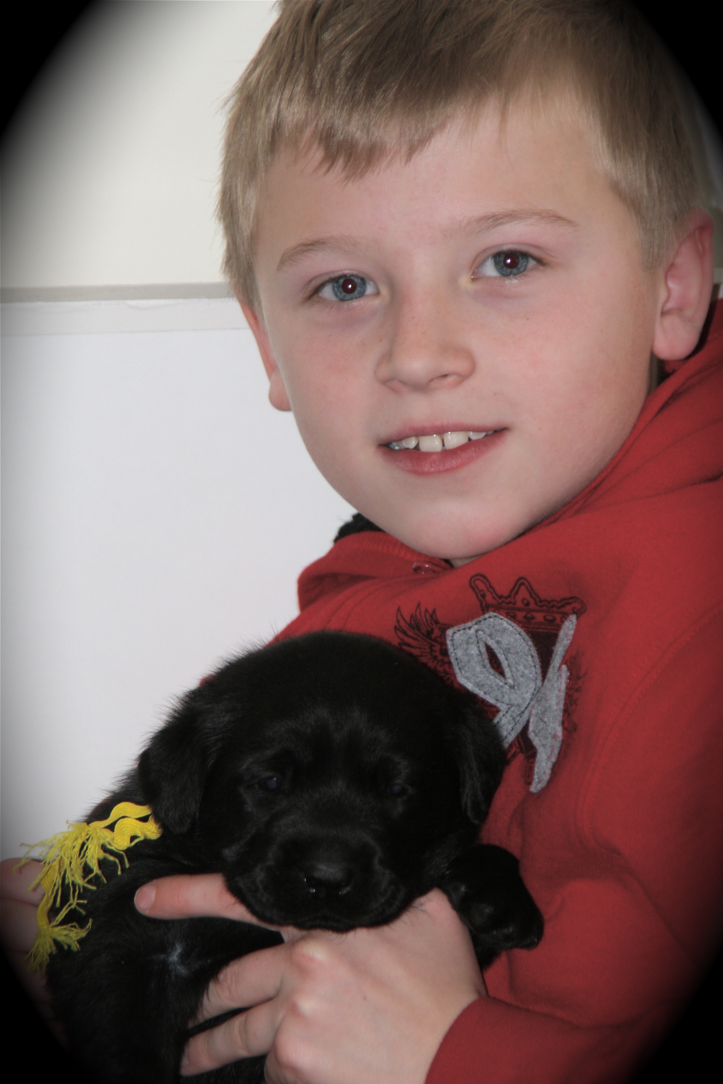 picturegallery15468.tmp/Iibarrayellowpup.JPG