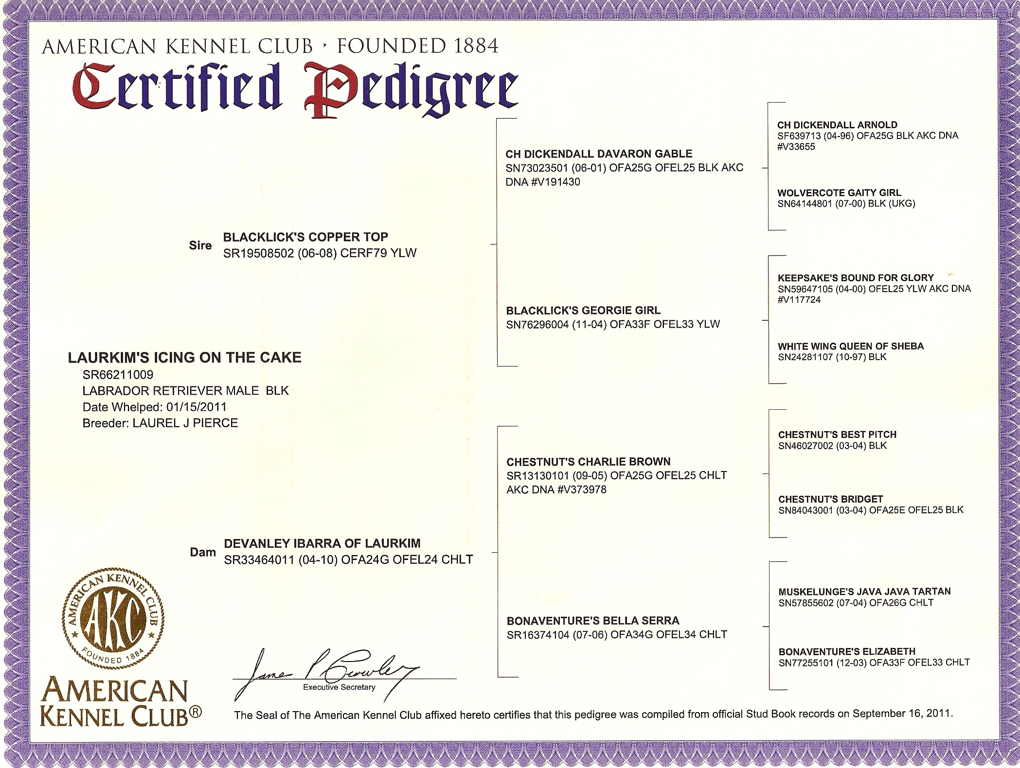picturegallery15468.tmp/WILTONPEDIGREE.jpg
