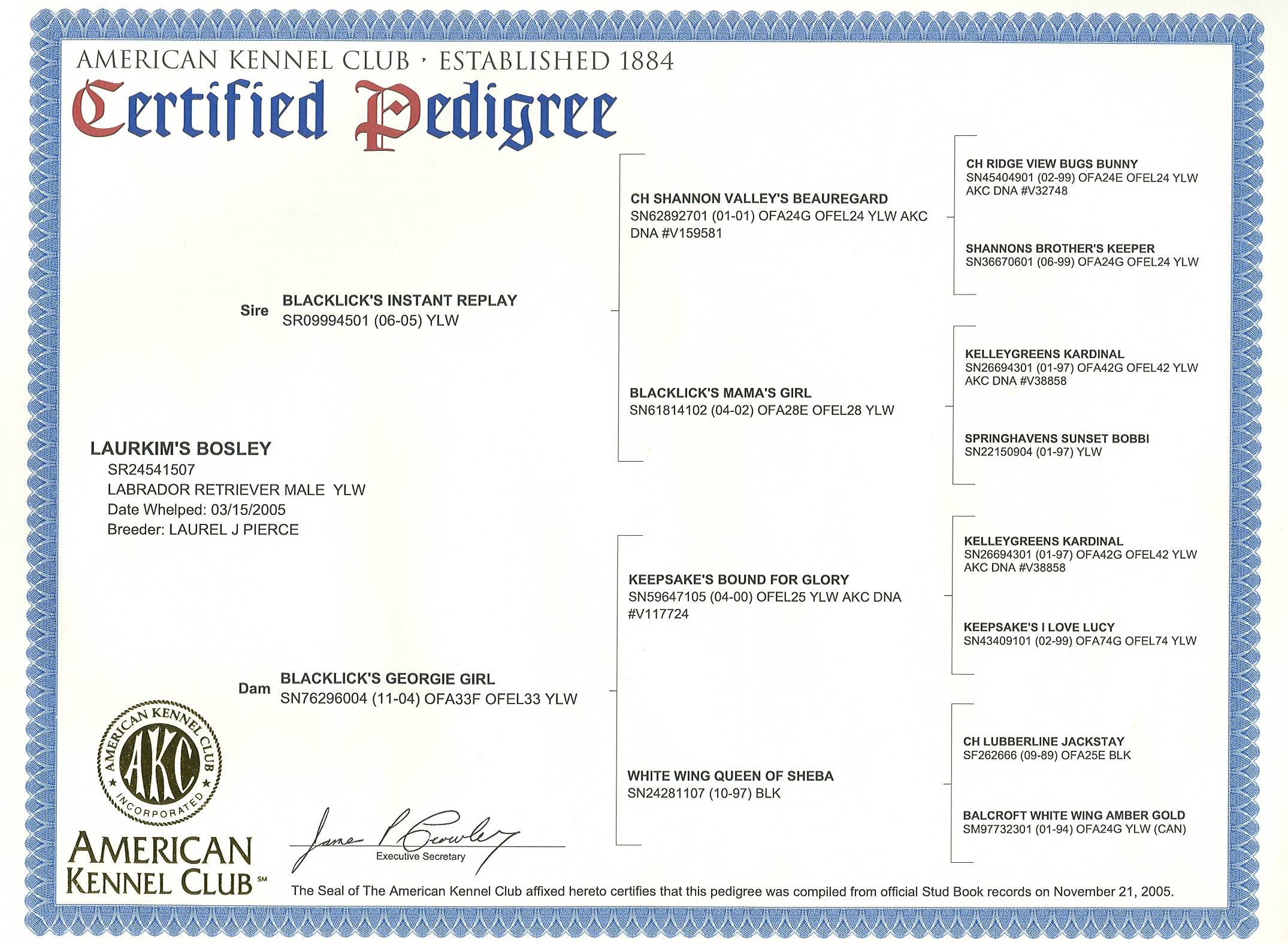 bosley pedigree.jpg