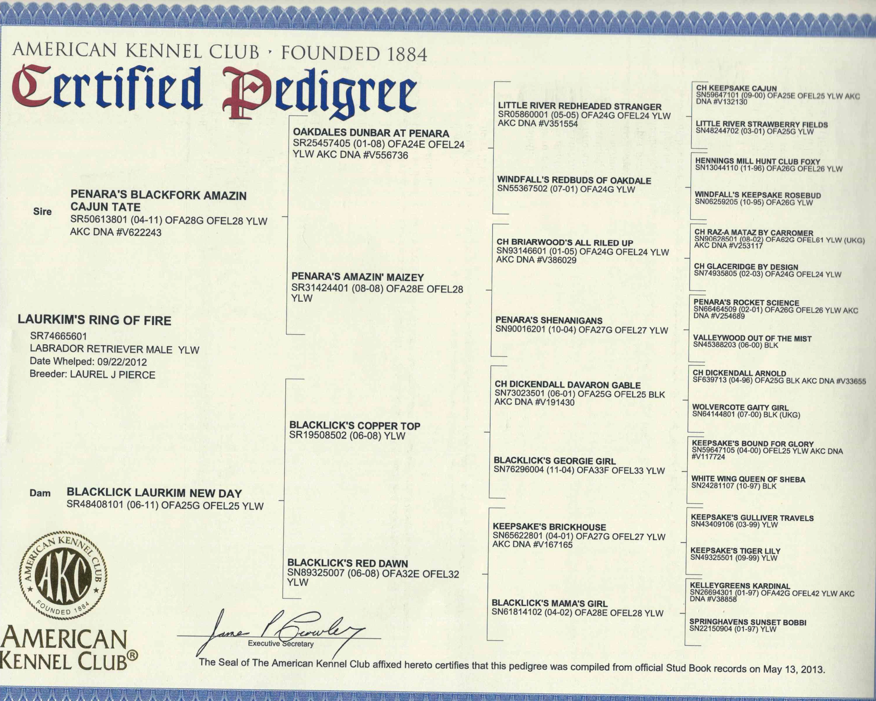 picturegallery15468.tmp/cashpedigree.jpg