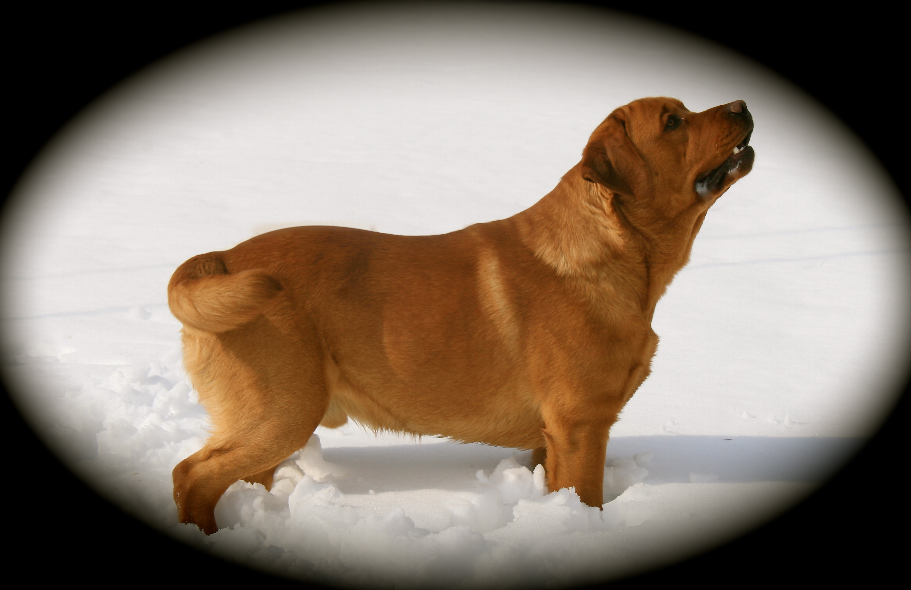 picturegallery15468.tmp/cashstacksnow.JPG
