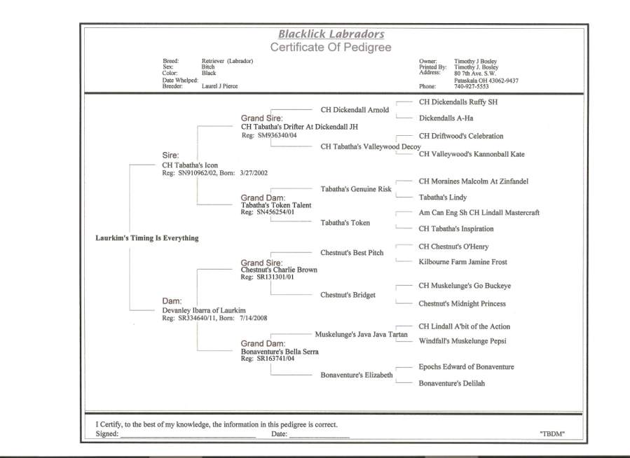 picturegallery15468.tmp/evepedigree.jpg