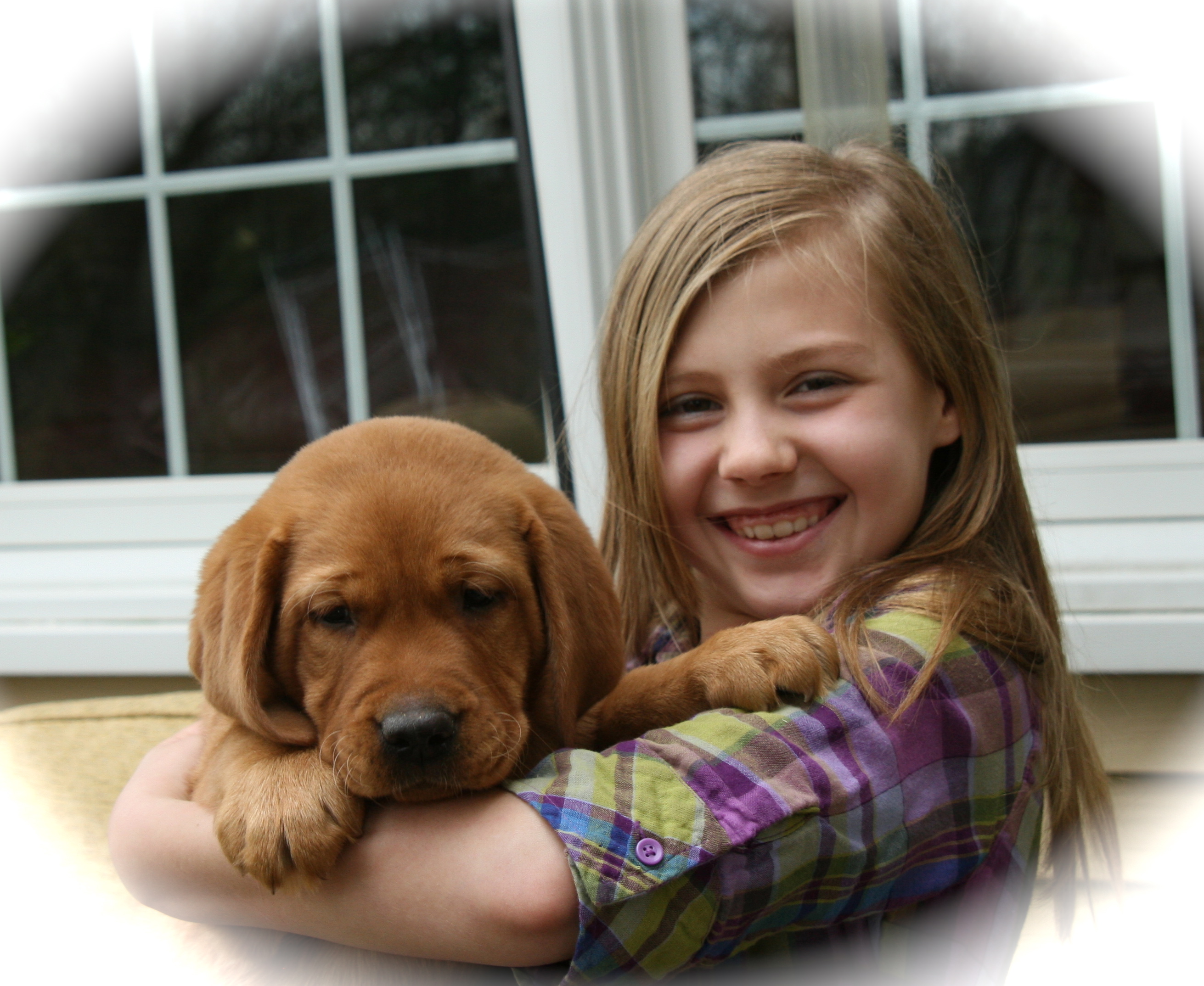 picturegallery15468.tmp/hannahwithredrubypupJPG.JPG