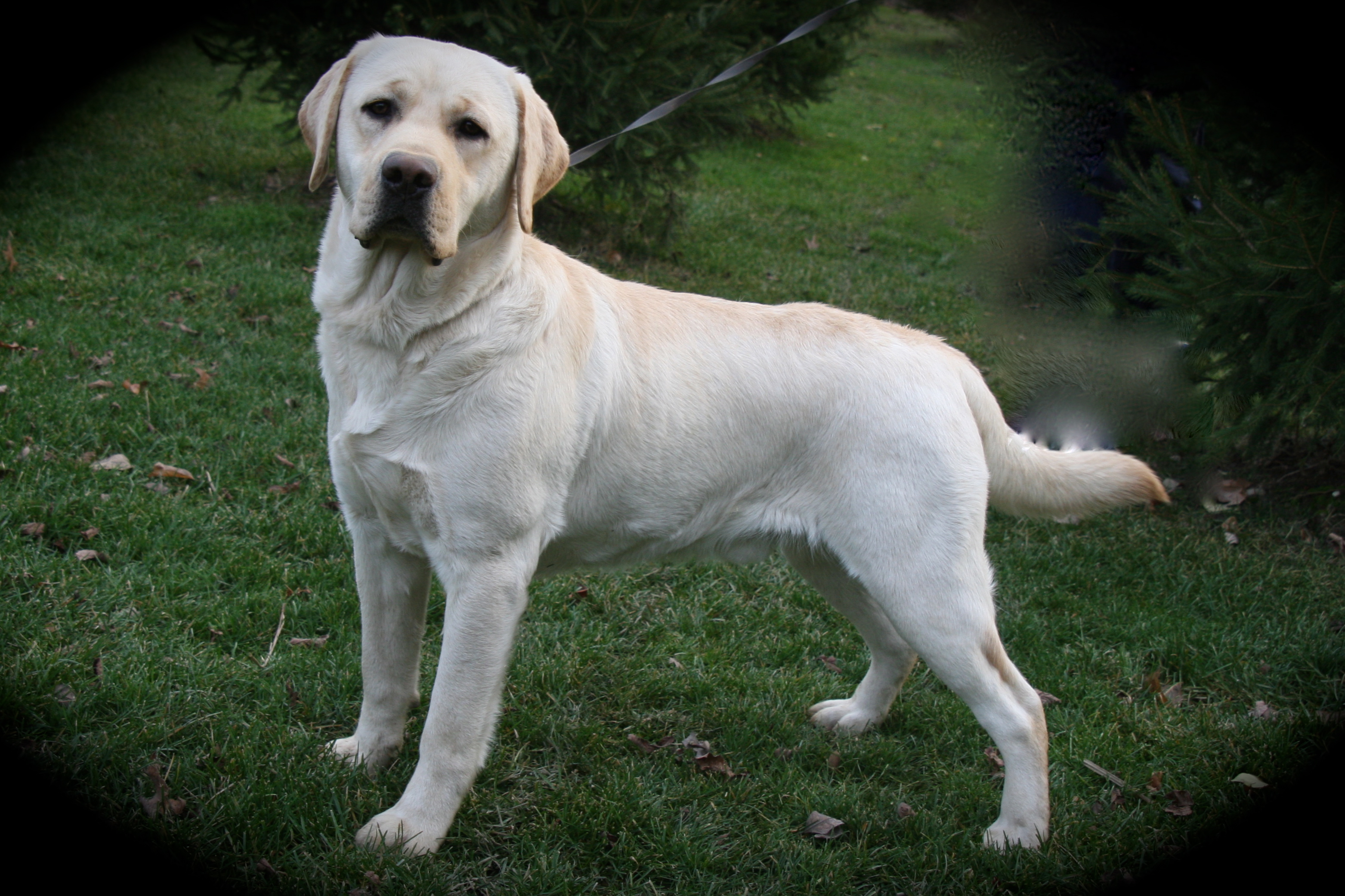picturegallery15468.tmp/heroside12mo.JPG