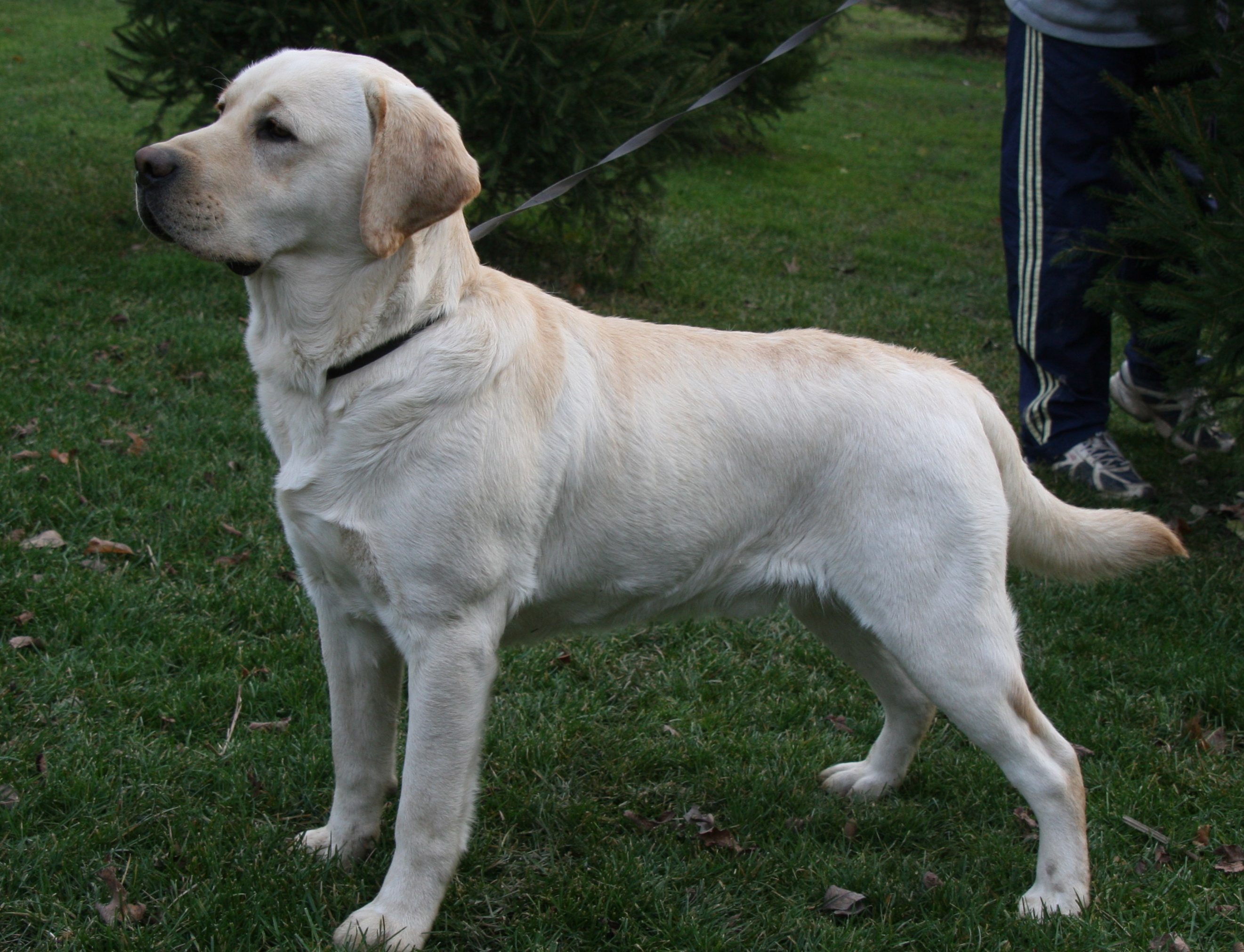 picturegallery15468.tmp/heroside12mo.JPG