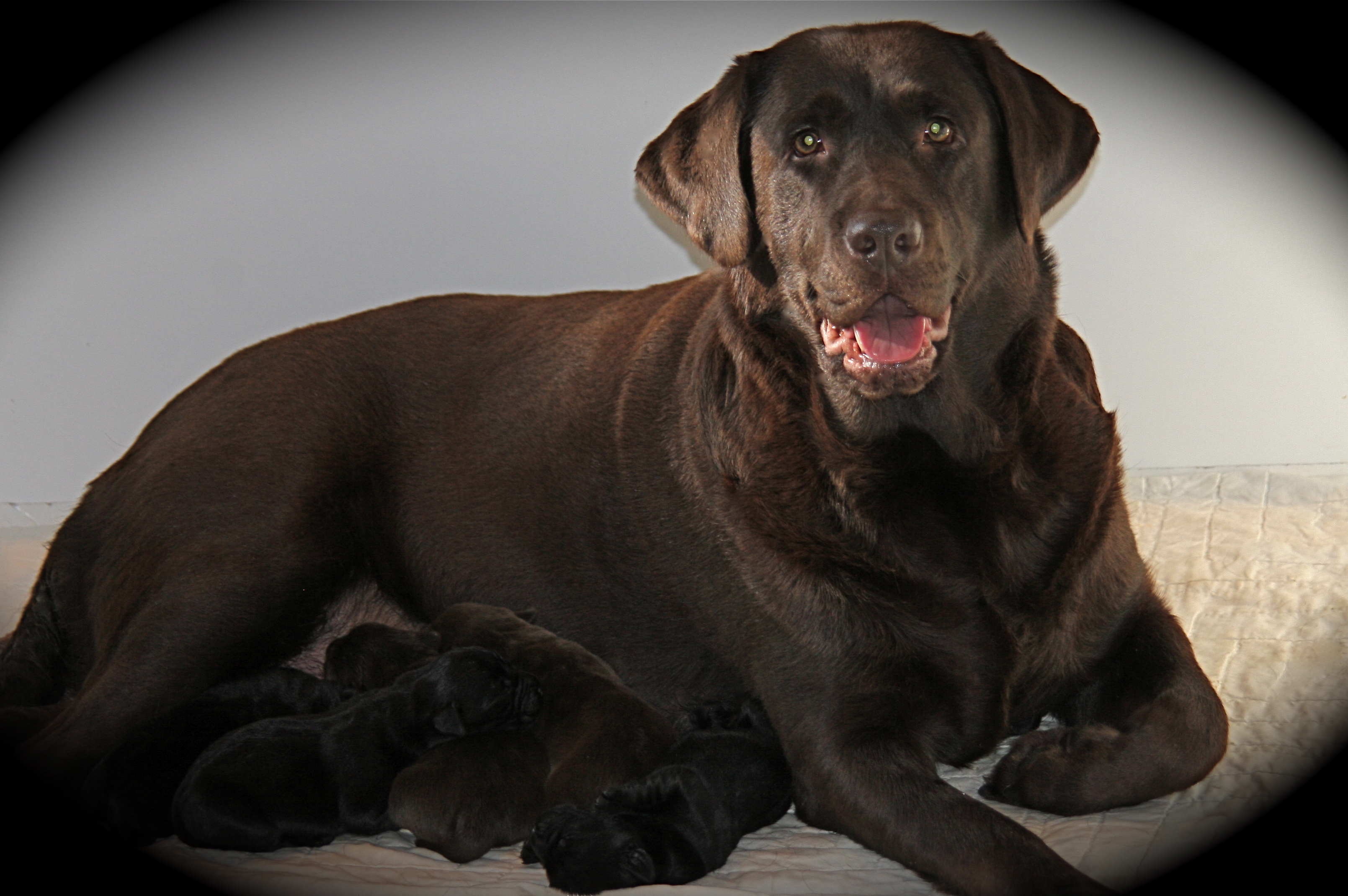 picturegallery15468.tmp/ibarraand1stlitter.JPG