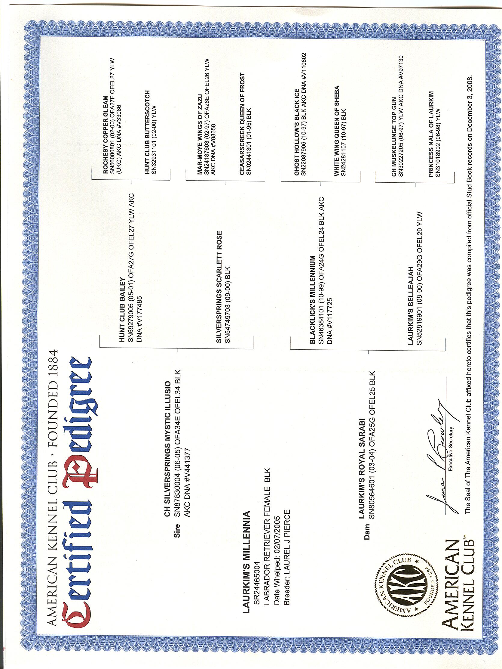 picturegallery15468.tmp/milliepedigree.jpg