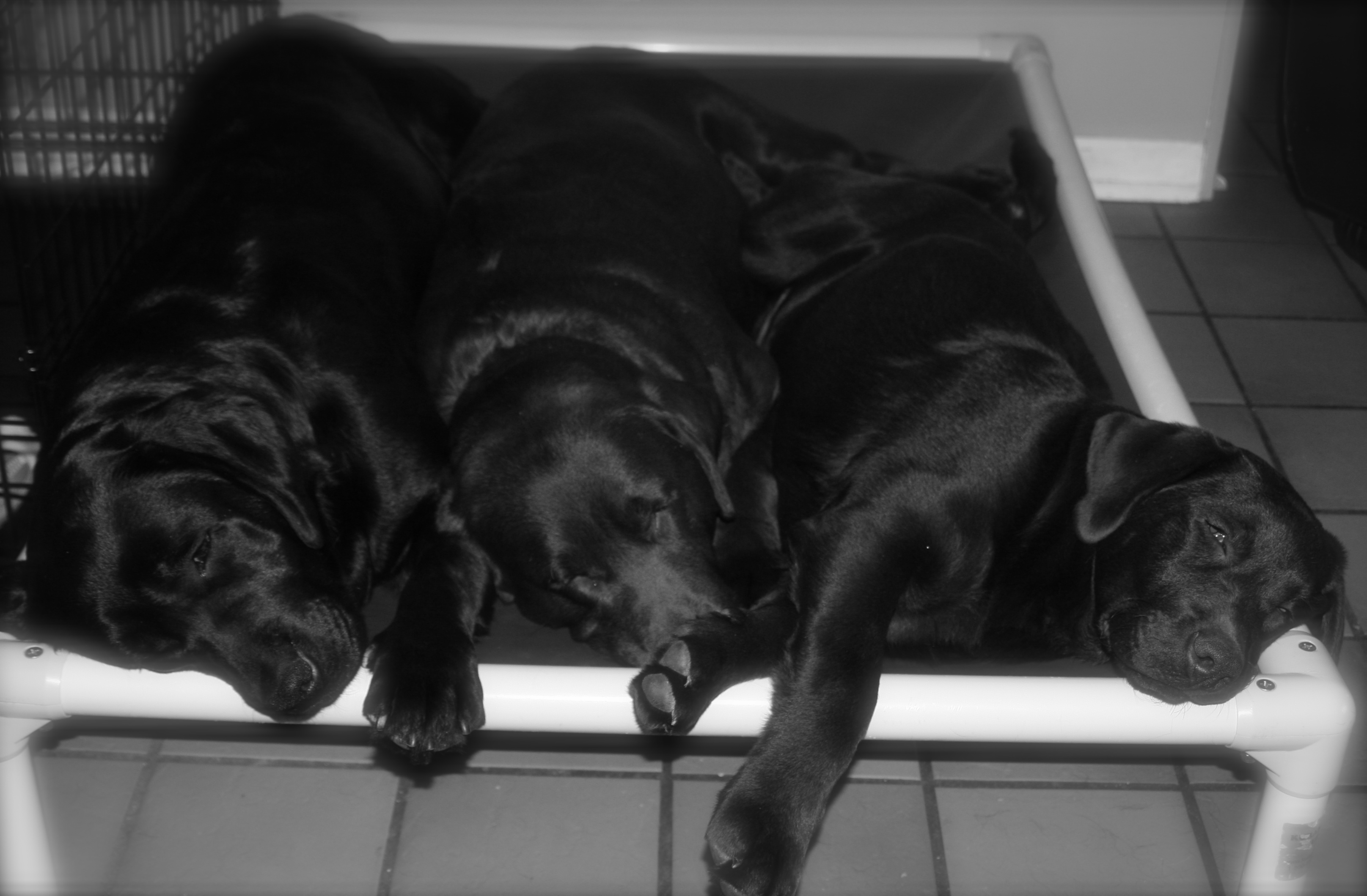 picturegallery15468.tmp/moibarradesseysleeping.JPG