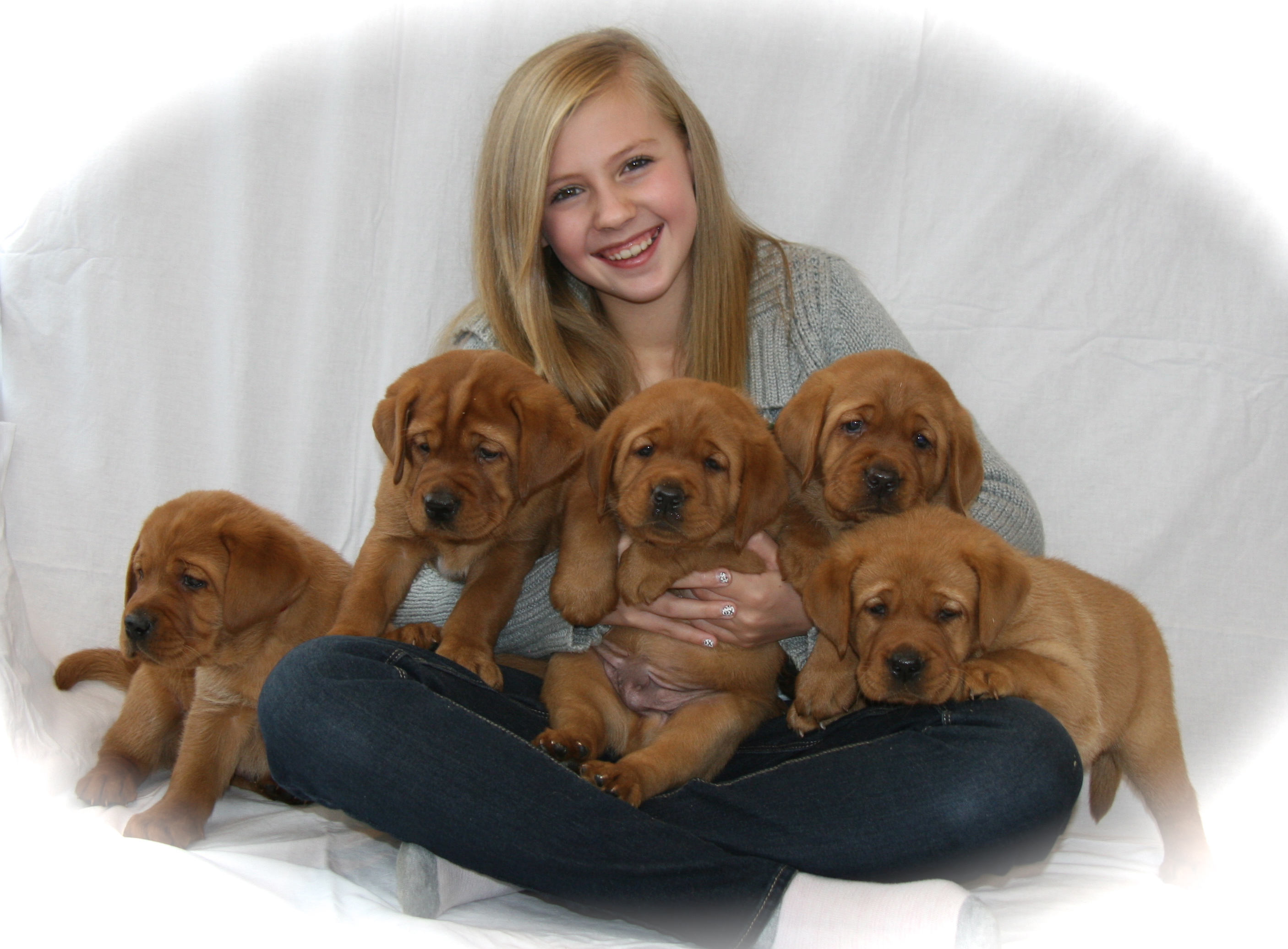 picturegallery15468.tmp/rubyboyssecondlitter.JPG