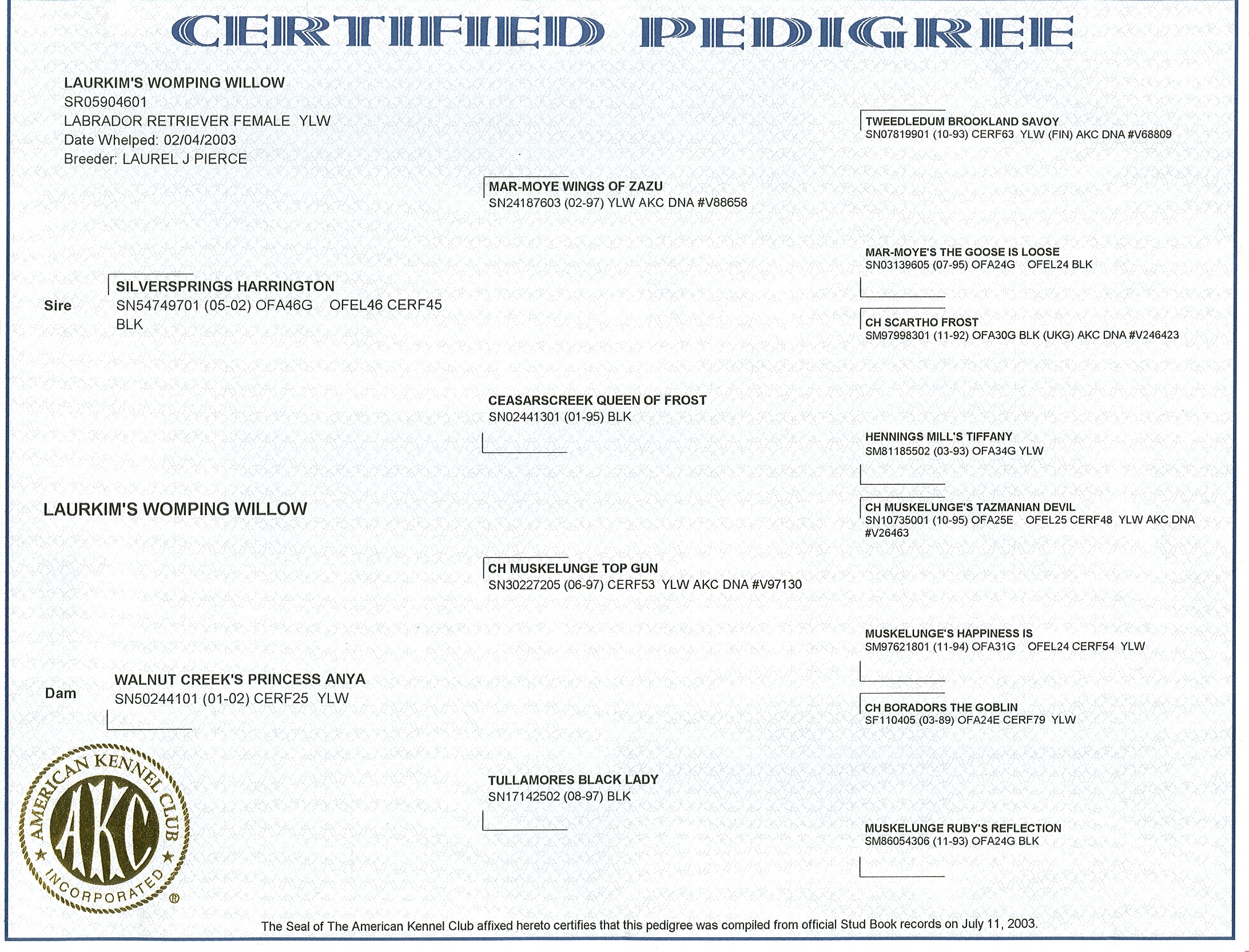 picturegallery15468.tmp/willowpedigree.jpg